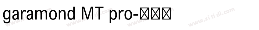 garamond MT pro字体转换